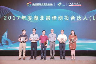 投資改革增引力，資本匯聚強(qiáng)產(chǎn)業(yè)——投資控股的發(fā)展新路徑