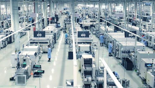 脫鉤第一槍 德國(guó)企業(yè)自斷數(shù)字服務(wù)之路