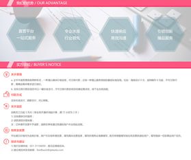 企業(yè)網(wǎng)站建設中不可忽視的核心要點 從頁面設計到品牌價值的過渡